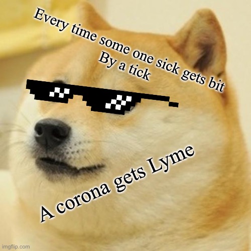 Doge | Every time some one sick gets bit 
By a tick; A corona gets Lyme | image tagged in memes,doge | made w/ Imgflip meme maker