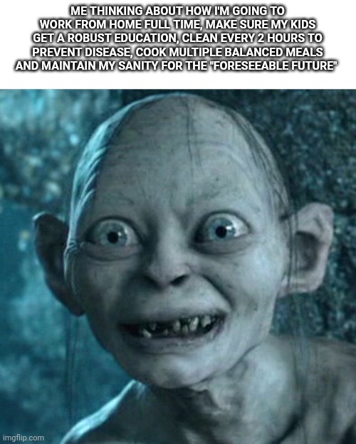 Gollum Meme | ME THINKING ABOUT HOW I'M GOING TO WORK FROM HOME FULL TIME, MAKE SURE MY KIDS GET A ROBUST EDUCATION, CLEAN EVERY 2 HOURS TO PREVENT DISEASE, COOK MULTIPLE BALANCED MEALS AND MAINTAIN MY SANITY FOR THE "FORESEEABLE FUTURE" | image tagged in memes,gollum | made w/ Imgflip meme maker