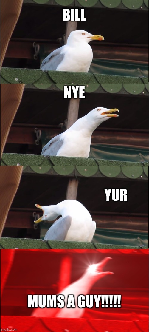Inhaling Seagull | BILL; NYE; YUR; MUMS A GUY!!!!! | image tagged in memes,inhaling seagull | made w/ Imgflip meme maker