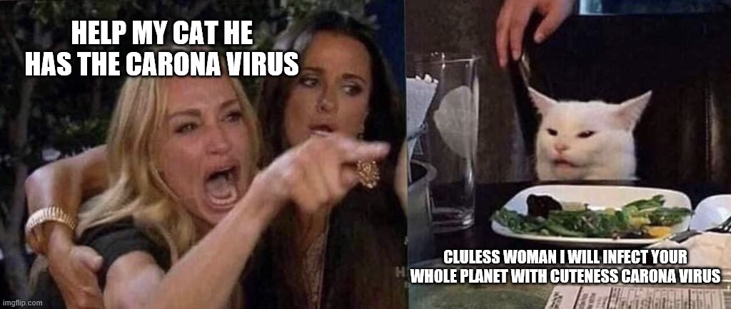 woman yelling at cat | HELP MY CAT HE HAS THE CARONA VIRUS; CLULESS WOMAN I WILL INFECT YOUR WHOLE PLANET WITH CUTENESS CARONA VIRUS | image tagged in woman yelling at cat | made w/ Imgflip meme maker