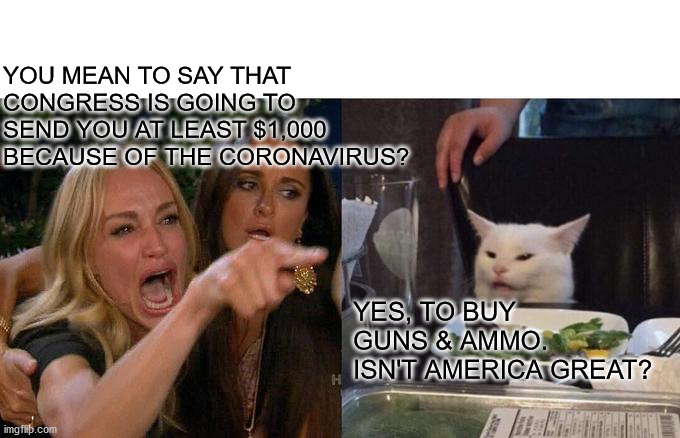 Woman Yelling At Cat Meme | YOU MEAN TO SAY THAT CONGRESS IS GOING TO SEND YOU AT LEAST $1,000 BECAUSE OF THE CORONAVIRUS? YES, TO BUY GUNS & AMMO.  ISN'T AMERICA GREAT? | image tagged in memes,woman yelling at cat | made w/ Imgflip meme maker