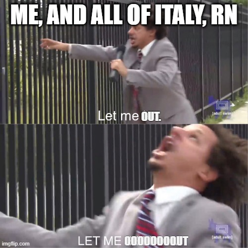 An obvious reaction | ME, AND ALL OF ITALY, RN; OUT. OOOOOOOOUT | image tagged in let me in,italy,quarantine,help me i'm going crazy | made w/ Imgflip meme maker