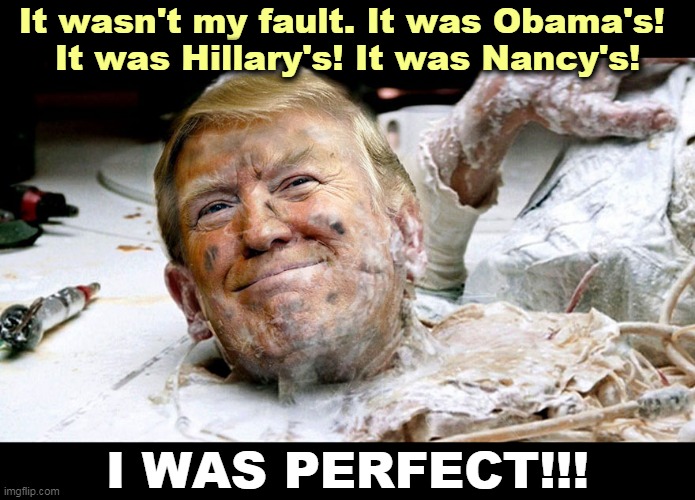 Just a matter of time before the stale alibis start. He'll make lame excuses & blame others, but there's only one President. | It wasn't my fault. It was Obama's! 
It was Hillary's! It was Nancy's! I WAS PERFECT!!! | image tagged in trump,alibi,excuses,lame,sad,pathetic | made w/ Imgflip meme maker