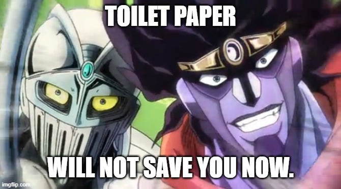 Silver Chariot and Star Platinum | TOILET PAPER WILL NOT SAVE YOU NOW. | image tagged in silver chariot and star platinum | made w/ Imgflip meme maker