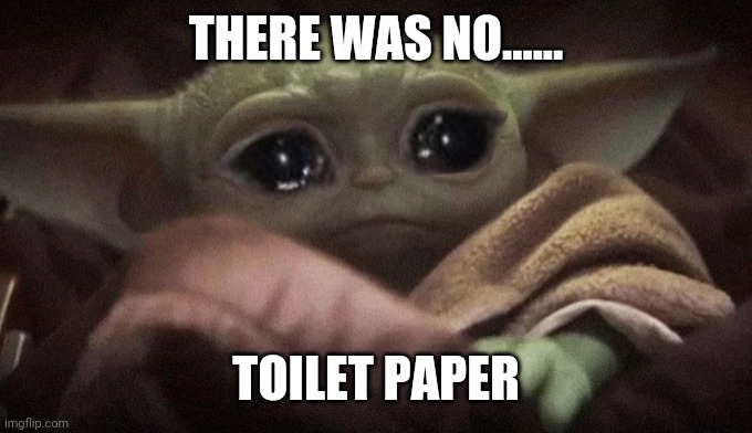 Crying Baby Yoda | THERE WAS NO...... TOILET PAPER | image tagged in crying baby yoda | made w/ Imgflip meme maker