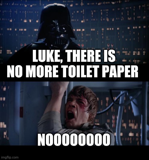 Star Wars No Meme | LUKE, THERE IS NO MORE TOILET PAPER; NOOOOOOOO | image tagged in memes,star wars no | made w/ Imgflip meme maker
