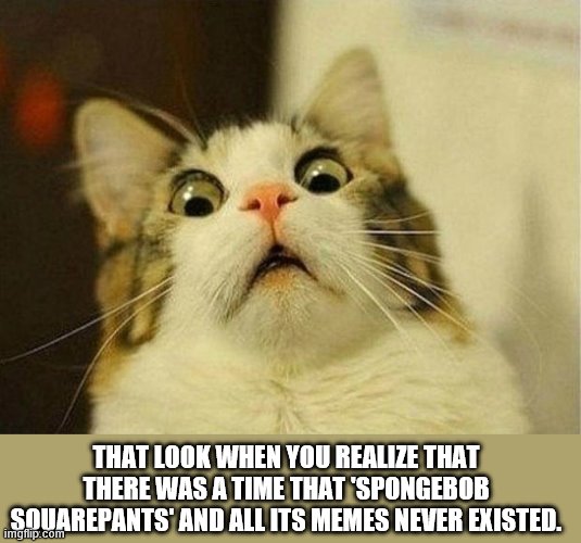 Scared Cat Meme | THAT LOOK WHEN YOU REALIZE THAT THERE WAS A TIME THAT 'SPONGEBOB SQUAREPANTS' AND ALL ITS MEMES NEVER EXISTED. | image tagged in memes,scared cat | made w/ Imgflip meme maker