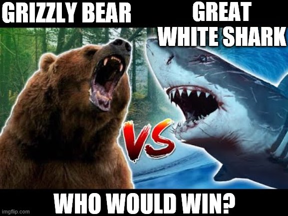 Which would kill the other if you plopped a bear in the ocean? | GREAT WHITE SHARK; GRIZZLY BEAR; WHO WOULD WIN? | image tagged in memes,shark,bear,who would win | made w/ Imgflip meme maker