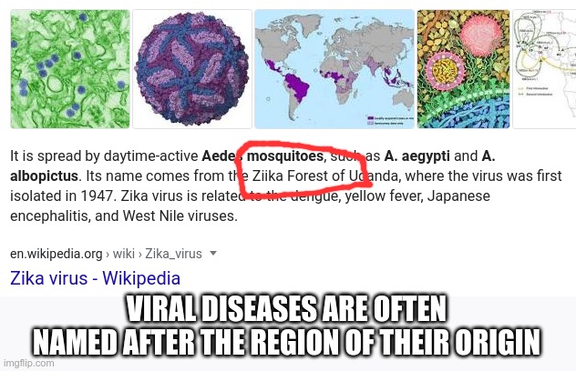 VIRAL DISEASES ARE OFTEN NAMED AFTER THE REGION OF THEIR ORIGIN | made w/ Imgflip meme maker