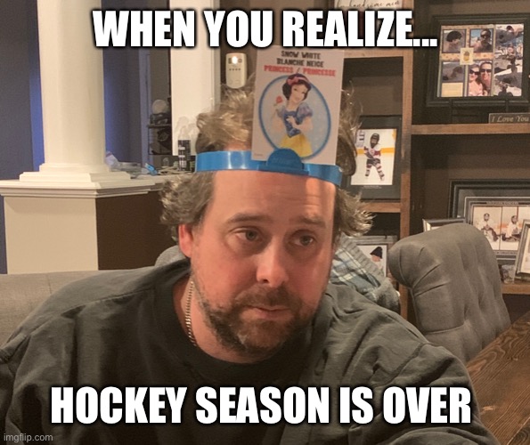 Sad look | WHEN YOU REALIZE... HOCKEY SEASON IS OVER | image tagged in sad look | made w/ Imgflip meme maker