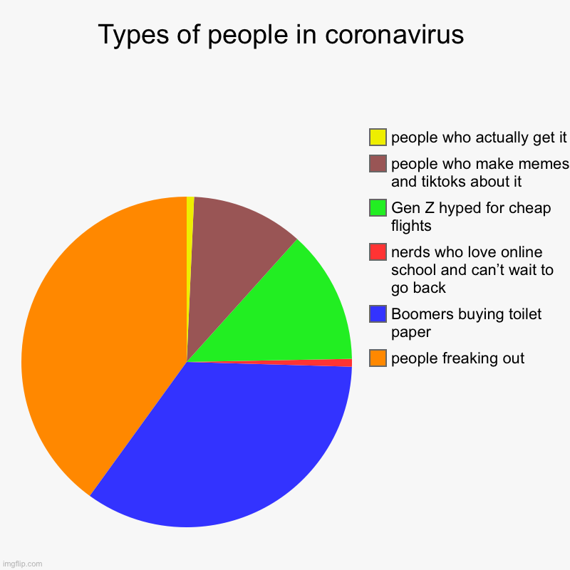 Types of people in coronavirus | people freaking out , Boomers buying toilet paper, nerds who love online school and can’t wait to go back,  | image tagged in charts,pie charts | made w/ Imgflip chart maker
