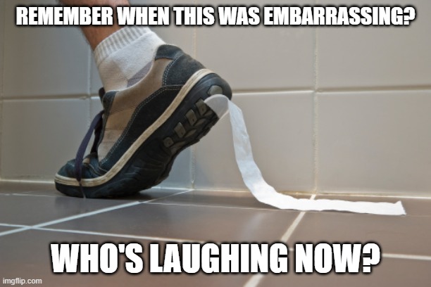 Who's laughing now? | REMEMBER WHEN THIS WAS EMBARRASSING? WHO'S LAUGHING NOW? | image tagged in toilet paper | made w/ Imgflip meme maker
