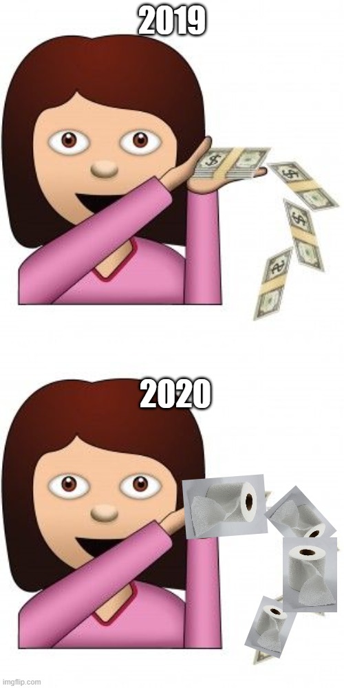 make it rain past and future | 2019; 2020 | image tagged in toilet paper,make it rain | made w/ Imgflip meme maker