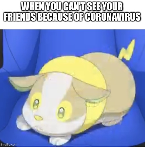 Sad Yamper | WHEN YOU CAN'T SEE YOUR FRIENDS BECAUSE OF CORONAVIRUS | image tagged in sad yamper | made w/ Imgflip meme maker