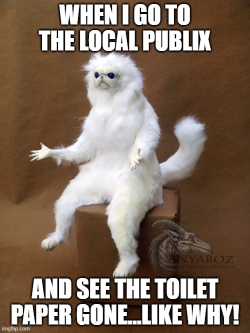 Persian Cat Room Guardian Single Meme | WHEN I GO TO THE LOCAL PUBLIX; AND SEE THE TOILET PAPER GONE...LIKE WHY! | image tagged in memes,persian cat room guardian single | made w/ Imgflip meme maker