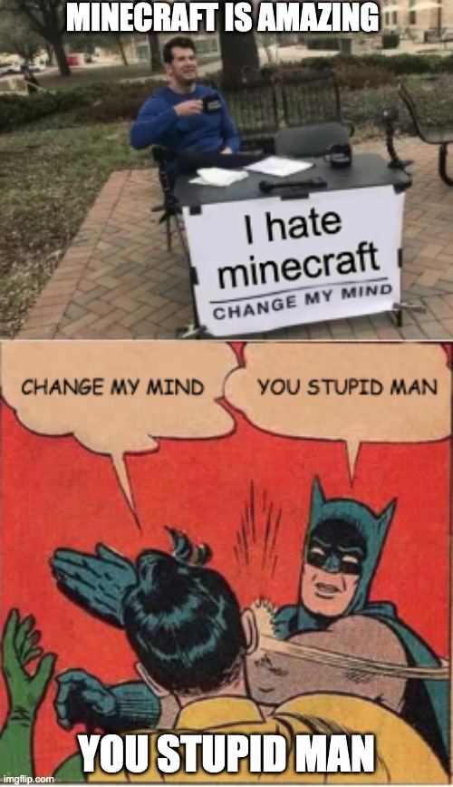 MINECRAFT IS AMAZING; YOU STUPID MAN | image tagged in minecraft | made w/ Imgflip meme maker