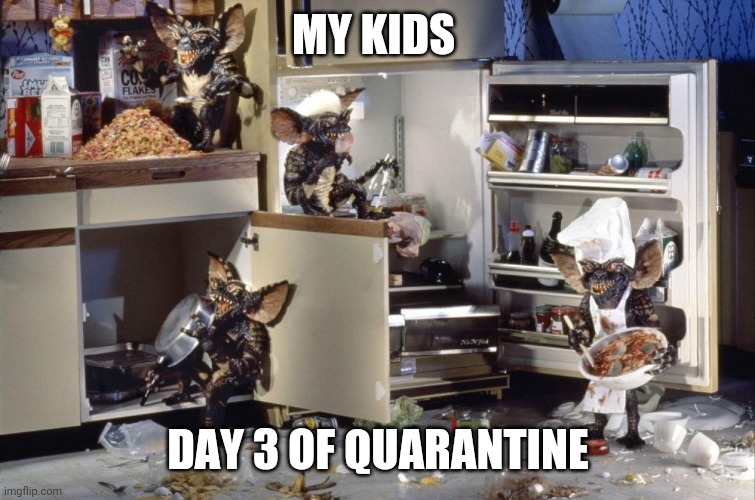 Day 3 virus | MY KIDS; DAY 3 OF QUARANTINE | image tagged in coronavirus | made w/ Imgflip meme maker