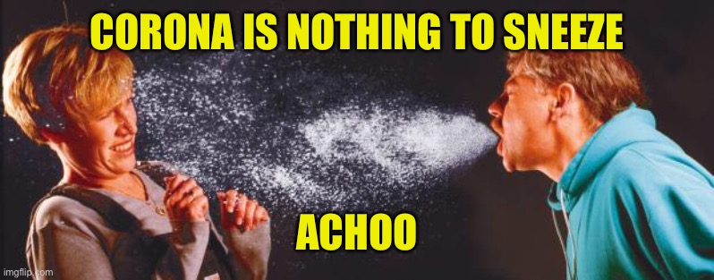 Gesundheit | CORONA IS NOTHING TO SNEEZE; ACHOO | image tagged in sneeze,corona virus,achoo | made w/ Imgflip meme maker