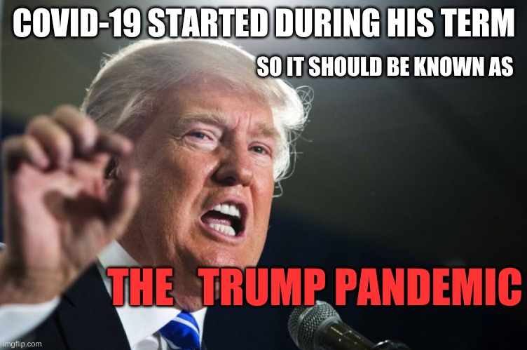 donald trump | COVID-19 STARTED DURING HIS TERM; SO IT SHOULD BE KNOWN AS; THE   TRUMP PANDEMIC | image tagged in donald trump | made w/ Imgflip meme maker