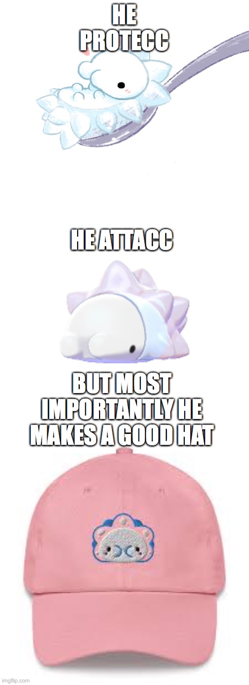 HE PROTECC; HE ATTACC; BUT MOST IMPORTANTLY HE MAKES A GOOD HAT | image tagged in he protec he attac but most importantly | made w/ Imgflip meme maker