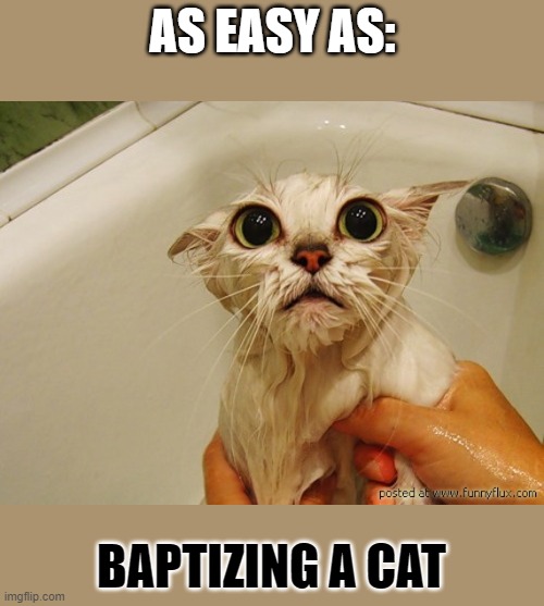 wet cat | AS EASY AS:; BAPTIZING A CAT | image tagged in wet cat | made w/ Imgflip meme maker