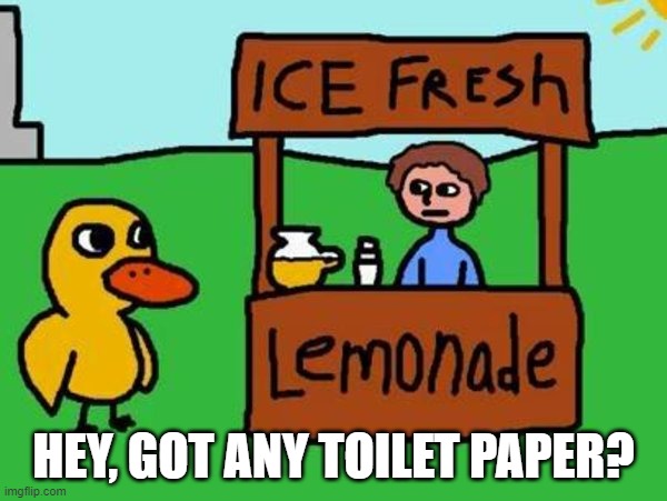 The Duck Song |  HEY, GOT ANY TOILET PAPER? | image tagged in the duck song | made w/ Imgflip meme maker