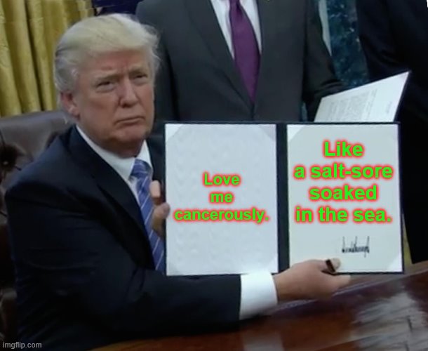 Trump Bill Signing Meme | Love me cancerously. Like a salt-sore soaked in the sea. | image tagged in memes,trump bill signing | made w/ Imgflip meme maker