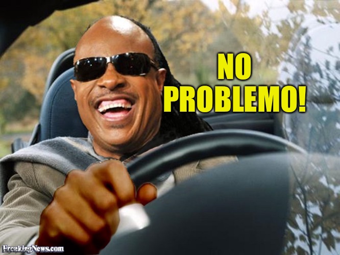 Stevie Wonder Driving | NO PROBLEMO! | image tagged in stevie wonder driving | made w/ Imgflip meme maker