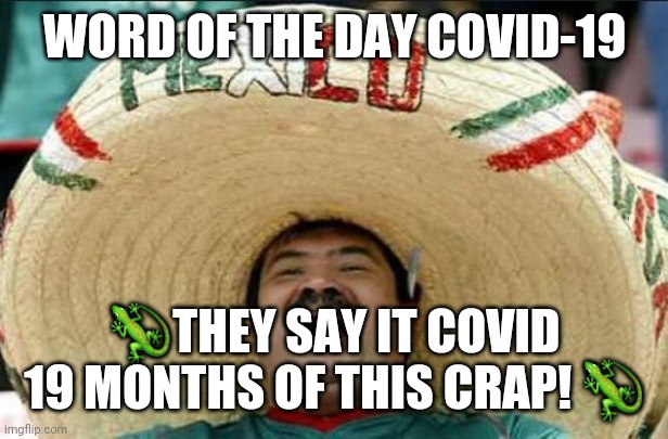 mexican word of the day | WORD OF THE DAY COVID-19; 🦎THEY SAY IT COVID 19 MONTHS OF THIS CRAP! 🦎 | image tagged in mexican word of the day | made w/ Imgflip meme maker