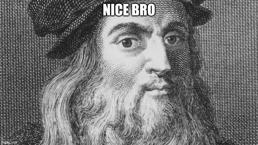 Leonardo da Vinci | NICE BRO | image tagged in leonardo da vinci | made w/ Imgflip meme maker