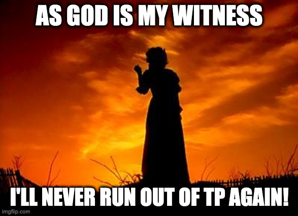 Scarlett O'TP | AS GOD IS MY WITNESS; I'LL NEVER RUN OUT OF TP AGAIN! | image tagged in scarlett o'hara,toilet paper | made w/ Imgflip meme maker