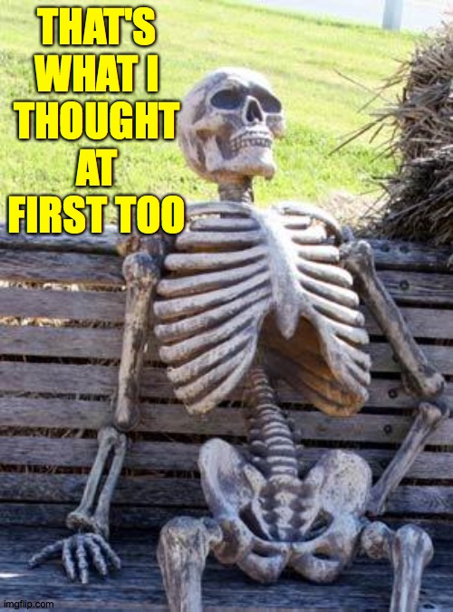 Waiting Skeleton Meme | THAT'S WHAT I THOUGHT AT FIRST TOO | image tagged in memes,waiting skeleton | made w/ Imgflip meme maker