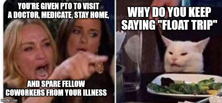 Cat at table | WHY DO YOU KEEP SAYING "FLOAT TRIP"; YOU'RE GIVEN PTO TO VISIT A DOCTOR, MEDICATE, STAY HOME, AND SPARE FELLOW COWORKERS FROM YOUR ILLNESS | image tagged in cat at table | made w/ Imgflip meme maker