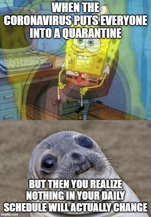 WHEN THE CORONAVIRUS PUTS EVERYONE INTO A QUARANTINE; BUT THEN YOU REALIZE NOTHING IN YOUR DAILY SCHEDULE WILL ACTUALLY CHANGE | image tagged in memes,awkward moment sealion,spongebob panic inside | made w/ Imgflip meme maker