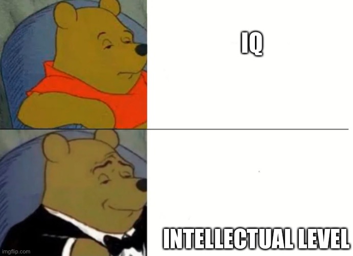 Fancy Winnie The Pooh Meme | IQ; INTELLECTUAL LEVEL | image tagged in fancy winnie the pooh meme | made w/ Imgflip meme maker