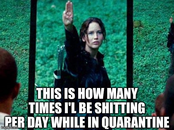 Hunger Games 2 | THIS IS HOW MANY TIMES I'L BE SHITTING PER DAY WHILE IN QUARANTINE | image tagged in hunger games 2 | made w/ Imgflip meme maker