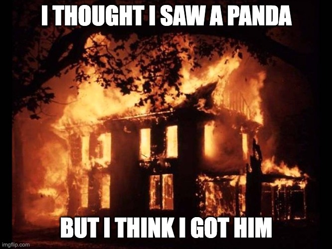 House On Fire | I THOUGHT I SAW A PANDA; BUT I THINK I GOT HIM | image tagged in house on fire | made w/ Imgflip meme maker