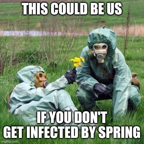 This could be us |  THIS COULD BE US; IF YOU DON'T GET INFECTED BY SPRING | image tagged in coronavirus,corona,this could be us | made w/ Imgflip meme maker