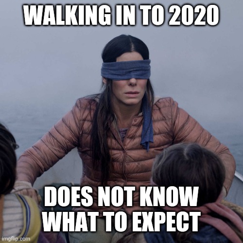 Bird Box | WALKING IN TO 2020; DOES NOT KNOW WHAT TO EXPECT | image tagged in memes,bird box | made w/ Imgflip meme maker