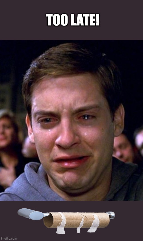 crying peter parker | TOO LATE! | image tagged in crying peter parker | made w/ Imgflip meme maker