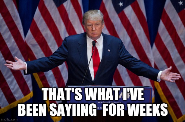 Donald Trump | THAT'S WHAT I'VE BEEN SAYIING  FOR WEEKS | image tagged in donald trump | made w/ Imgflip meme maker