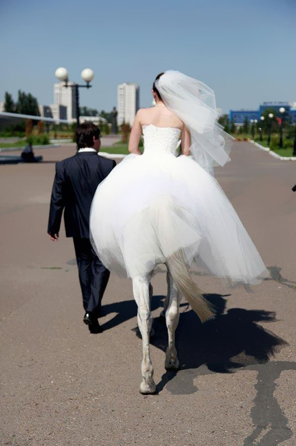 High Quality Horse bride Blank Meme Template