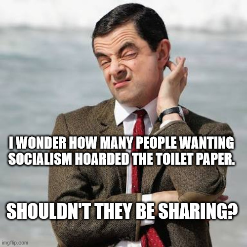 Mr Bean Question | I WONDER HOW MANY PEOPLE WANTING SOCIALISM HOARDED THE TOILET PAPER. SHOULDN'T THEY BE SHARING? | image tagged in mr bean question | made w/ Imgflip meme maker