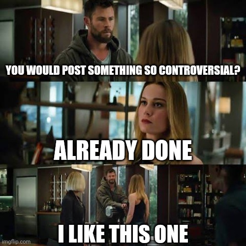 YOU WOULD POST SOMETHING SO CONTROVERSIAL? ALREADY DONE I LIKE THIS ONE | image tagged in i like this one avengers | made w/ Imgflip meme maker