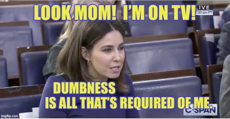 Dumb Reporter | image tagged in dumb reporter | made w/ Imgflip meme maker