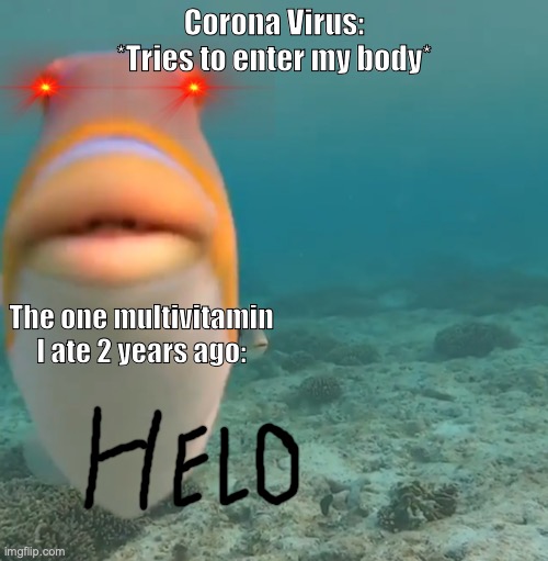 Helo | Corona Virus: *Tries to enter my body*; The one multivitamin I ate 2 years ago: | image tagged in helo | made w/ Imgflip meme maker