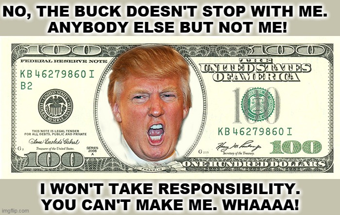 Harry Truman would be ashamed to watch such a snowflake. | NO, THE BUCK DOESN'T STOP WITH ME. 
ANYBODY ELSE BUT NOT ME! I WON'T TAKE RESPONSIBILITY. YOU CAN'T MAKE ME. WHAAAA! | image tagged in trump currency to buy the election,trump,coward,weak,insane,snowflake | made w/ Imgflip meme maker