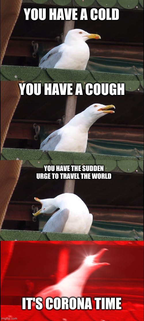 its corona tyme | YOU HAVE A COLD; YOU HAVE A COUGH; YOU HAVE THE SUDDEN URGE TO TRAVEL THE WORLD; IT'S CORONA TIME | image tagged in memes,inhaling seagull | made w/ Imgflip meme maker