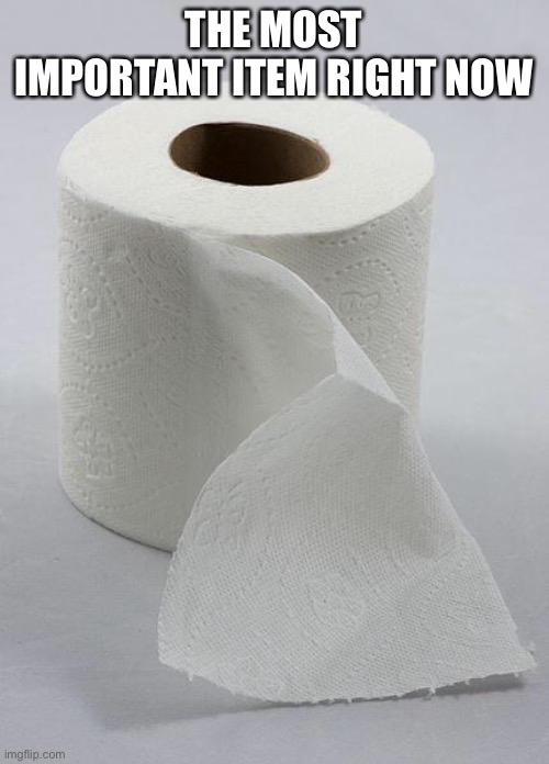 toilet paper | THE MOST IMPORTANT ITEM RIGHT NOW | image tagged in toilet paper | made w/ Imgflip meme maker