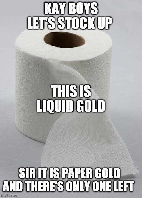 toilet paper | KAY BOYS LET'S STOCK UP; THIS IS LIQUID GOLD; SIR IT IS PAPER GOLD AND THERE'S ONLY ONE LEFT | image tagged in toilet paper | made w/ Imgflip meme maker
